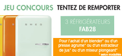 Offre pour Smeg 50's Style BLF01SVEU