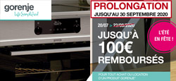 Offre pour Gorenje Advanced EIT6356XPD