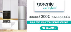 Offre pour Gorenje R6192LX