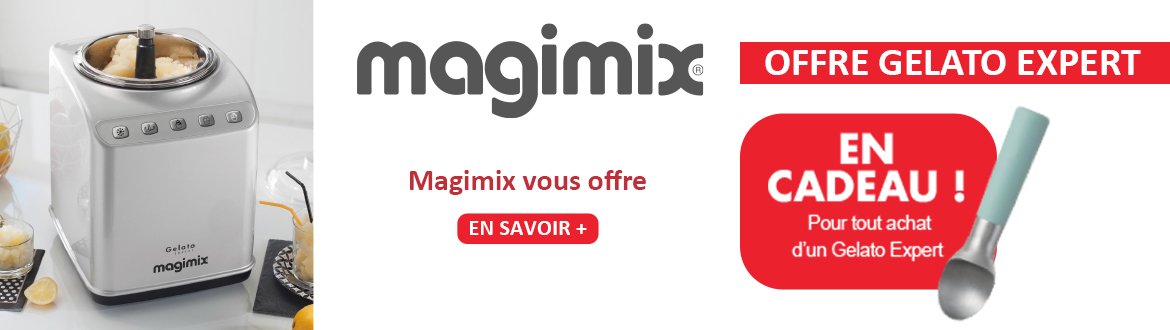 Offre pour Magimix GELATO EXPERT