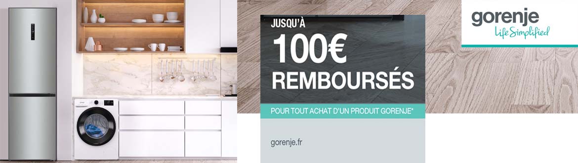 Offre pour Gorenje FN4171CW